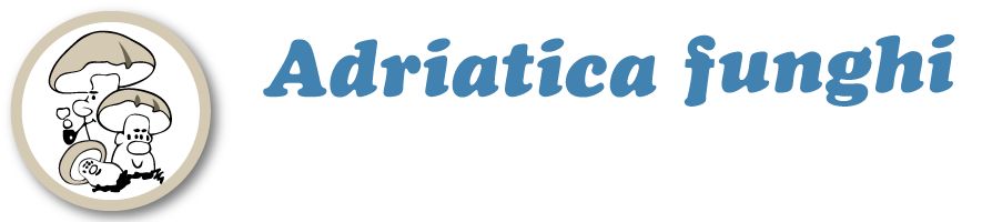 Logo Adriatica Funghi