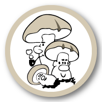 Logo Adriatica Funghi